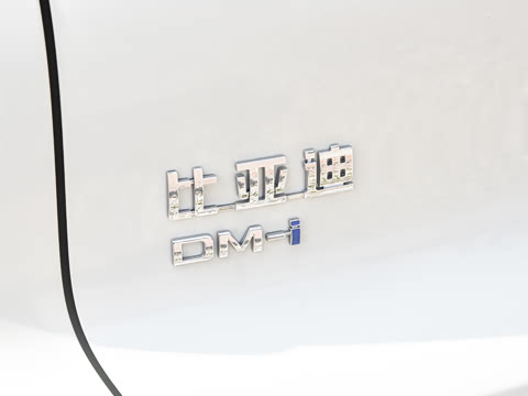 2026�� DM-i 220KM��Խ��