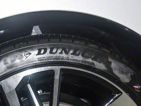 2026�� ˫�� 2.0HS �˶���