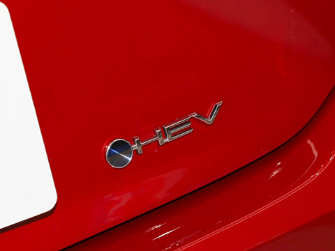 2026�� ˫�� 2.0HGVP ������