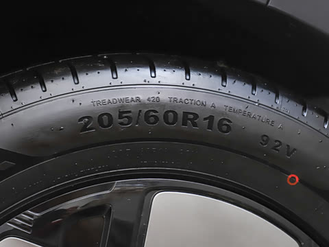 2026�� 310������