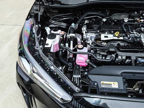 2026�� 2.0L ���ܵ��˫�� �ȷ��