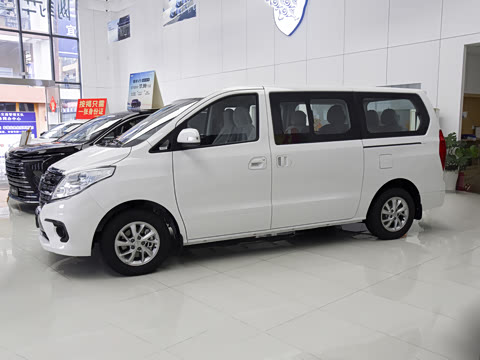 2025�� 2.0L �ֶ���Ӣ��CNG 7��