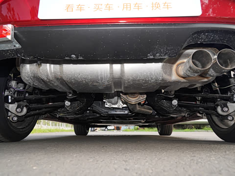 2025�� �ֶ��������� ī�����