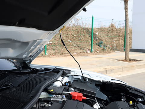 2026�� 1.6T Ԧ����