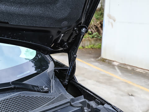 2026�� ����������