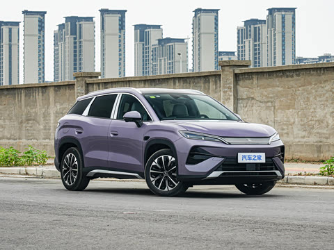 2026�� DM-i 310KM ׿Խ��