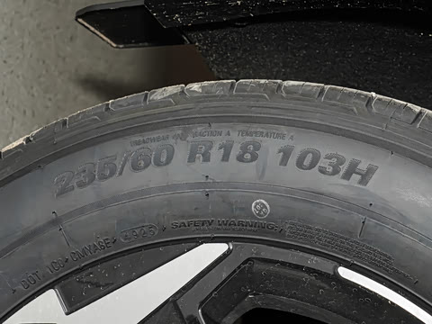 2026�� ����������