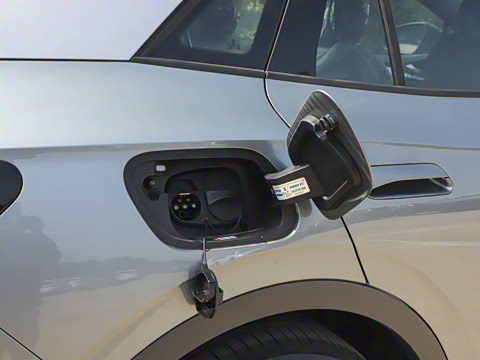 2026�� ������PURE