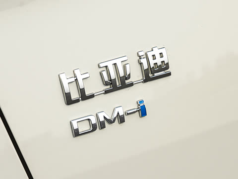 2026�� DM-i 210KM������