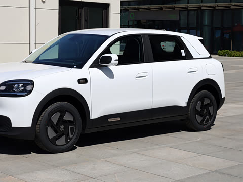 2026�� 310�Ȱ���