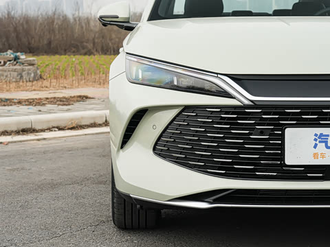 2026�� DM-i 210KM��Խ��