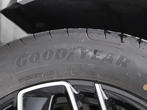 2026�� ����������