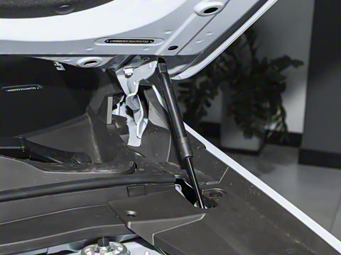 2026�� 121km ������ 5��