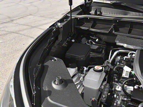 2026�� 380T �������� 7��