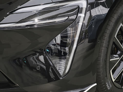 2025�� Elite�����