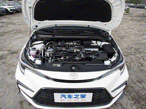 2026�� ����L ���Ͱ� 2.0L ����PLUS��