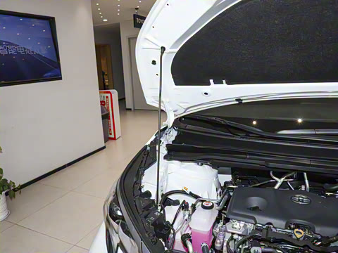 2026�� 2.5L ˫��������������