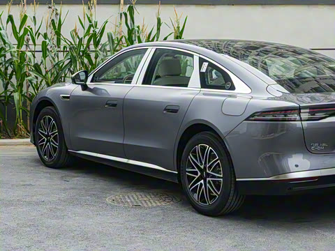 2025�� 260��������������