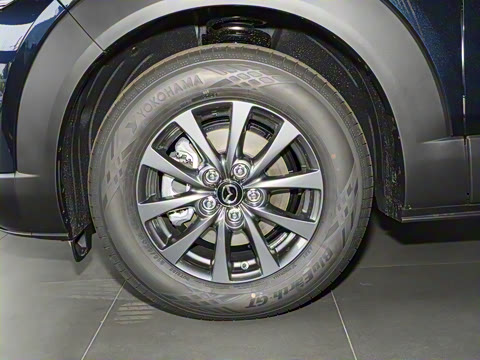 2025�� 2.0L �ֶ�������