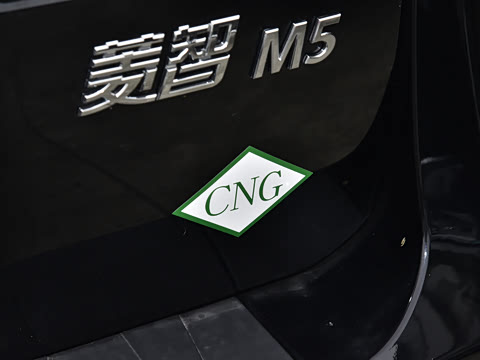 2025�� M5 1.6L ��׼��7��CNG