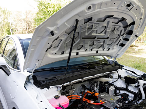 2026�� 530km �ɿ�����