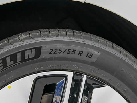 2026�� ����Max