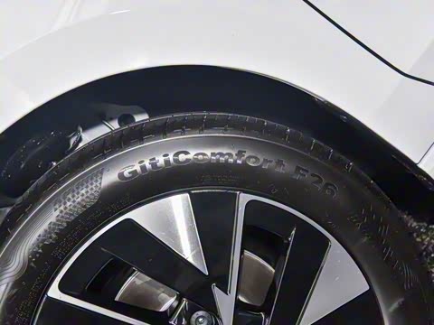 2026�� L 300TSI DSG ��Ӣ��