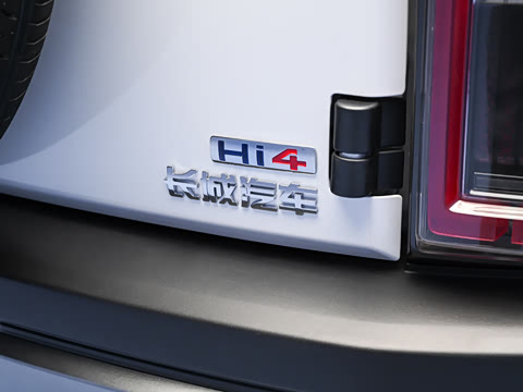 2026�� 255km ������