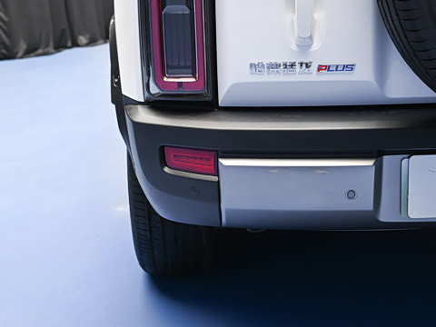 2026�� 255km ������