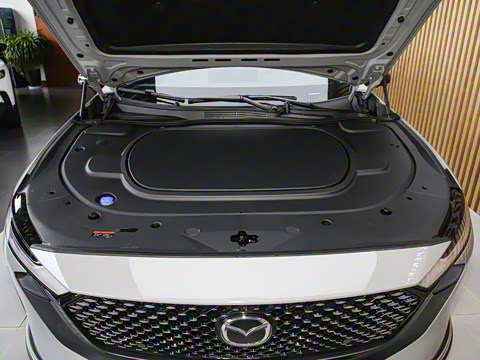 2024�� ����200