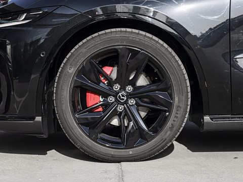 2026�� ����200 Pro�˶���