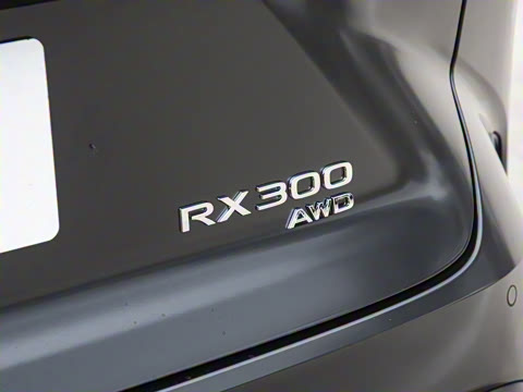 2026�� 300 ����Black Edition