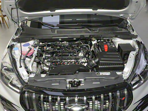 2025�� ׿Խ�� 1.5L �ֶ�������