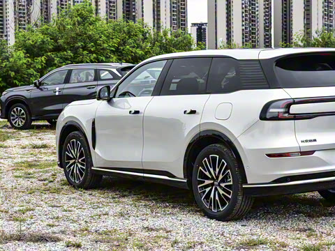 2025�� 215����������