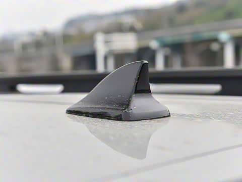 2026�� 212km ��Խ