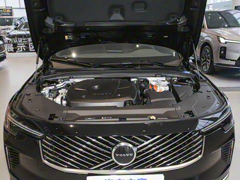 2026�� ���ʽ�춯 �������������ݺ�����