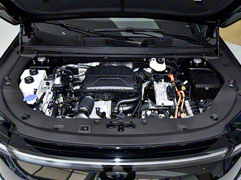 2026�� 121km ������ 7��