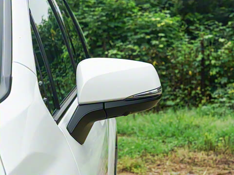 2026�� 2.5L ˫������������