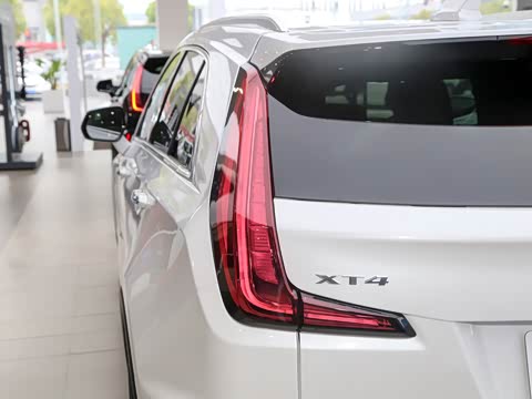 2026�� 28T ������