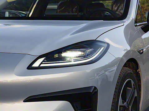 2026�� 650�Ǻ���