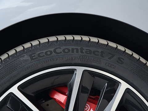 2026�� Max
