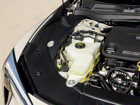 2025�� ������