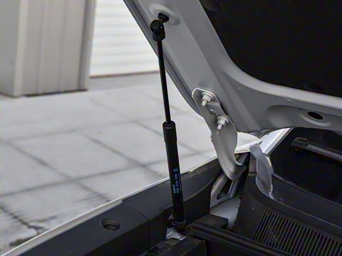 2026�� ������ ������