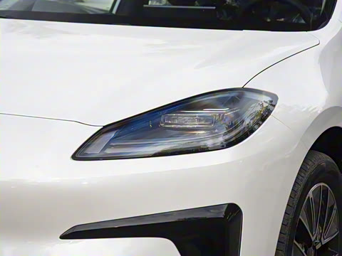 2026�� 520�Ǻ���