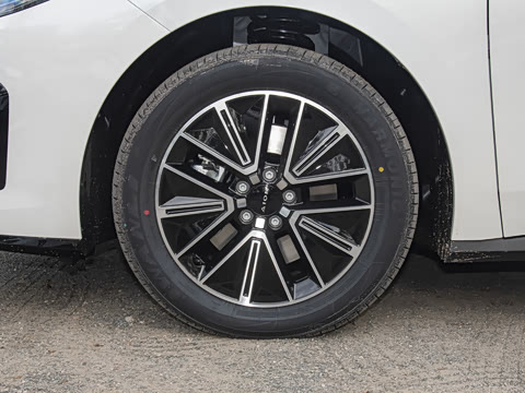 2026�� 520�Ǻ���