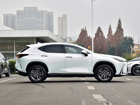 2026�� 350h ��ɫ�޶���