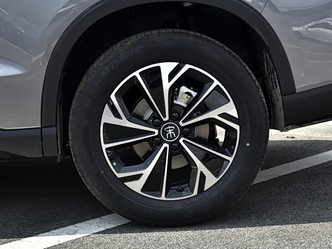 2026�� �ɳ۰� DM-i 220KM������