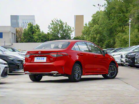 2024�� ���ܵ��˫�� 2.0L ������