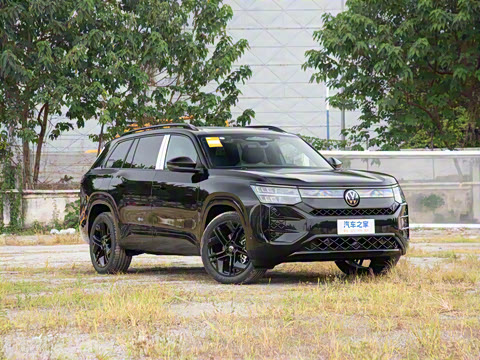 2026�� ;�� Pro 450TSI �����Ƿ��