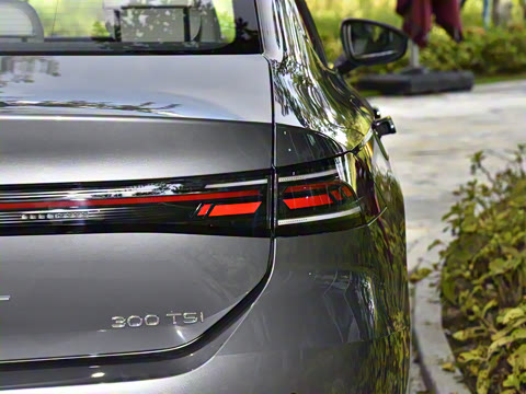 2026�� L 300TSI DSG ������